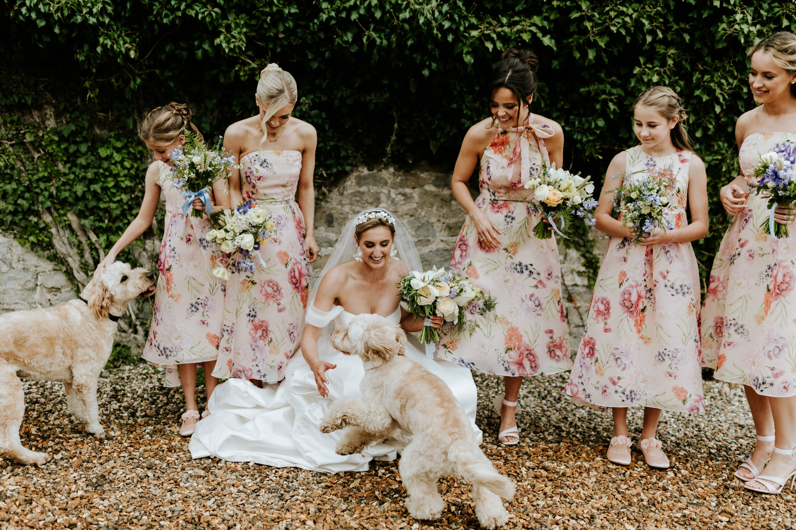 Bridesmaids and Dogs