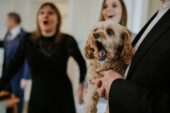 dogs at weddings