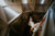 couple on staircase