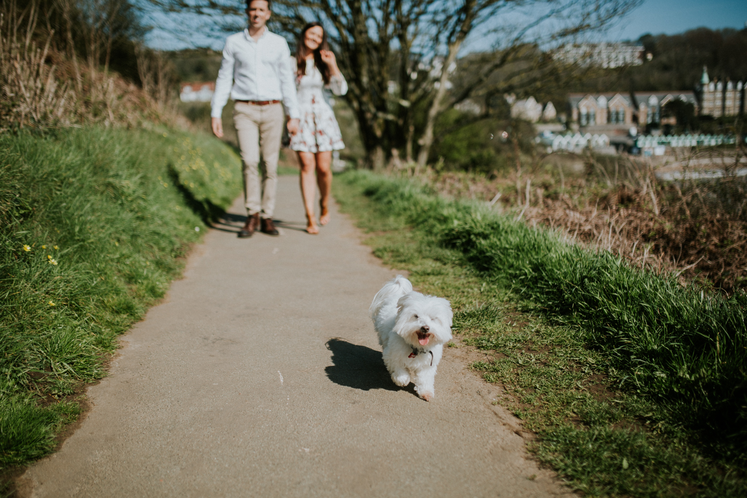 couple walking the dog