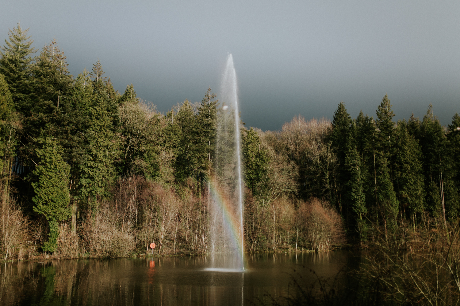 lake and rainbow