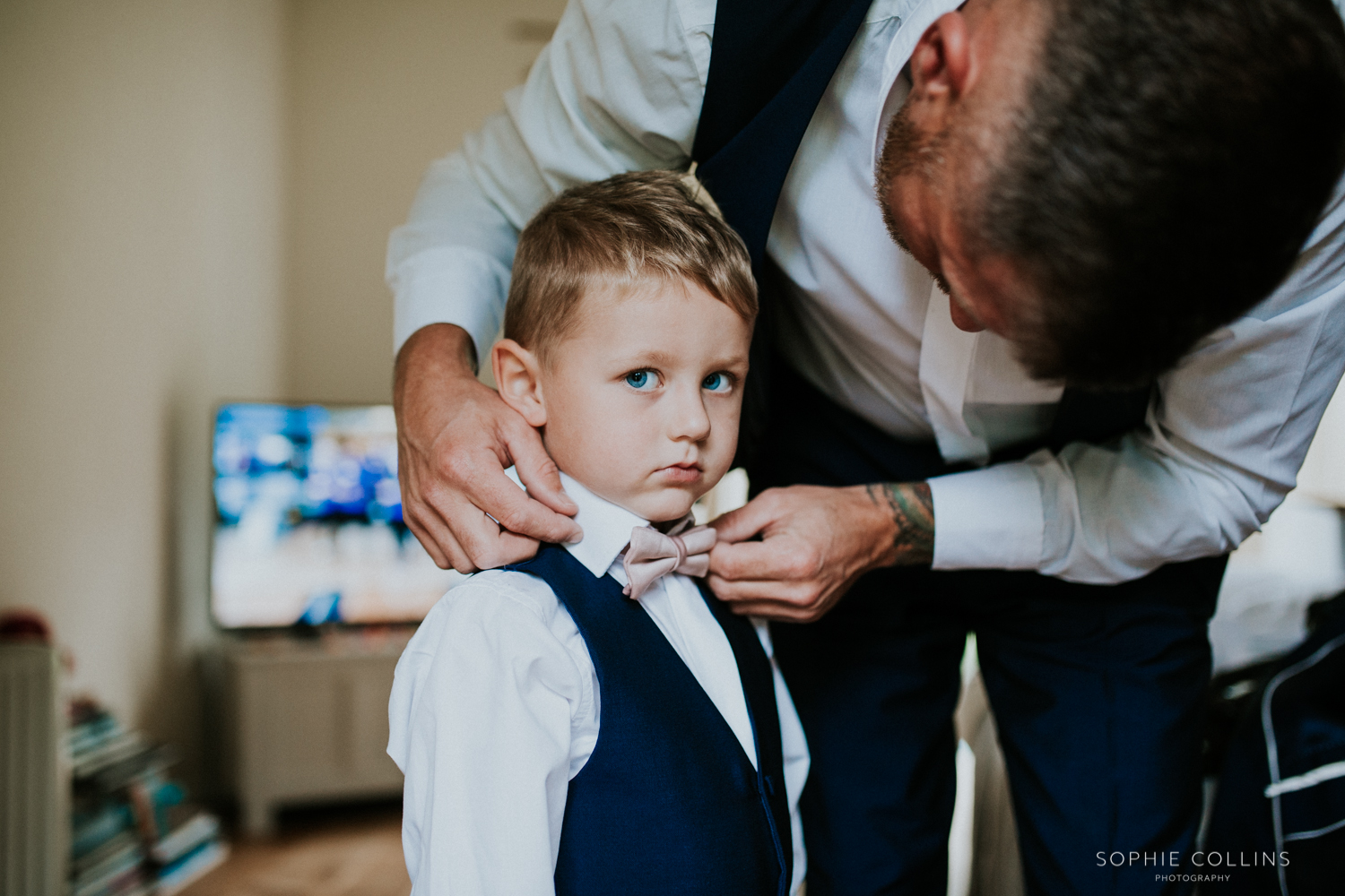 little boy dickie bow