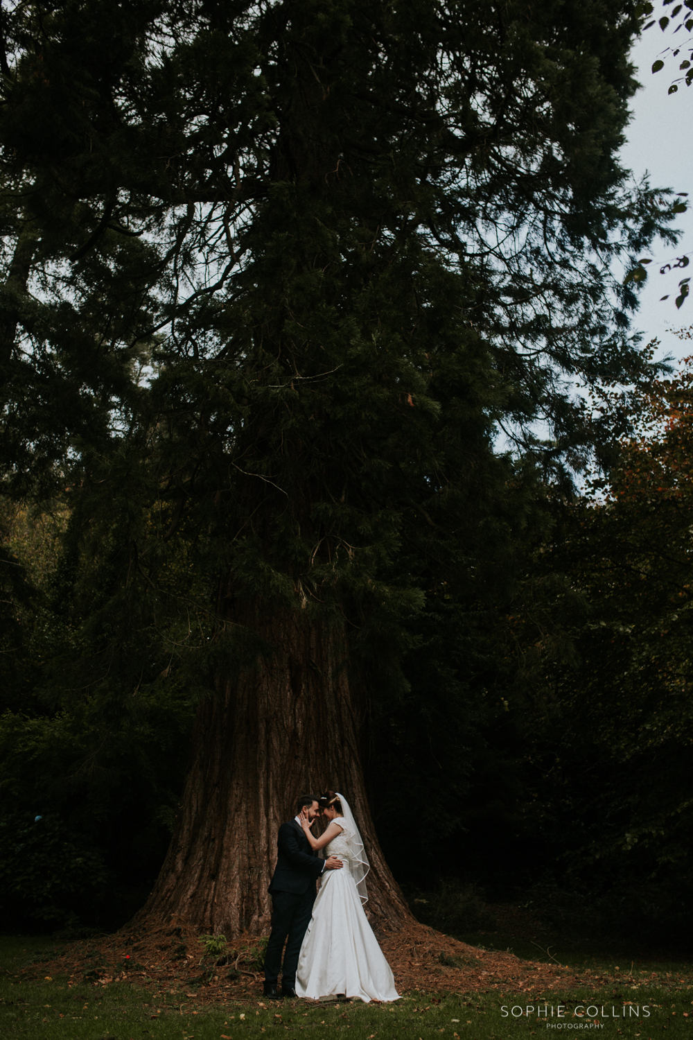 bride and groom