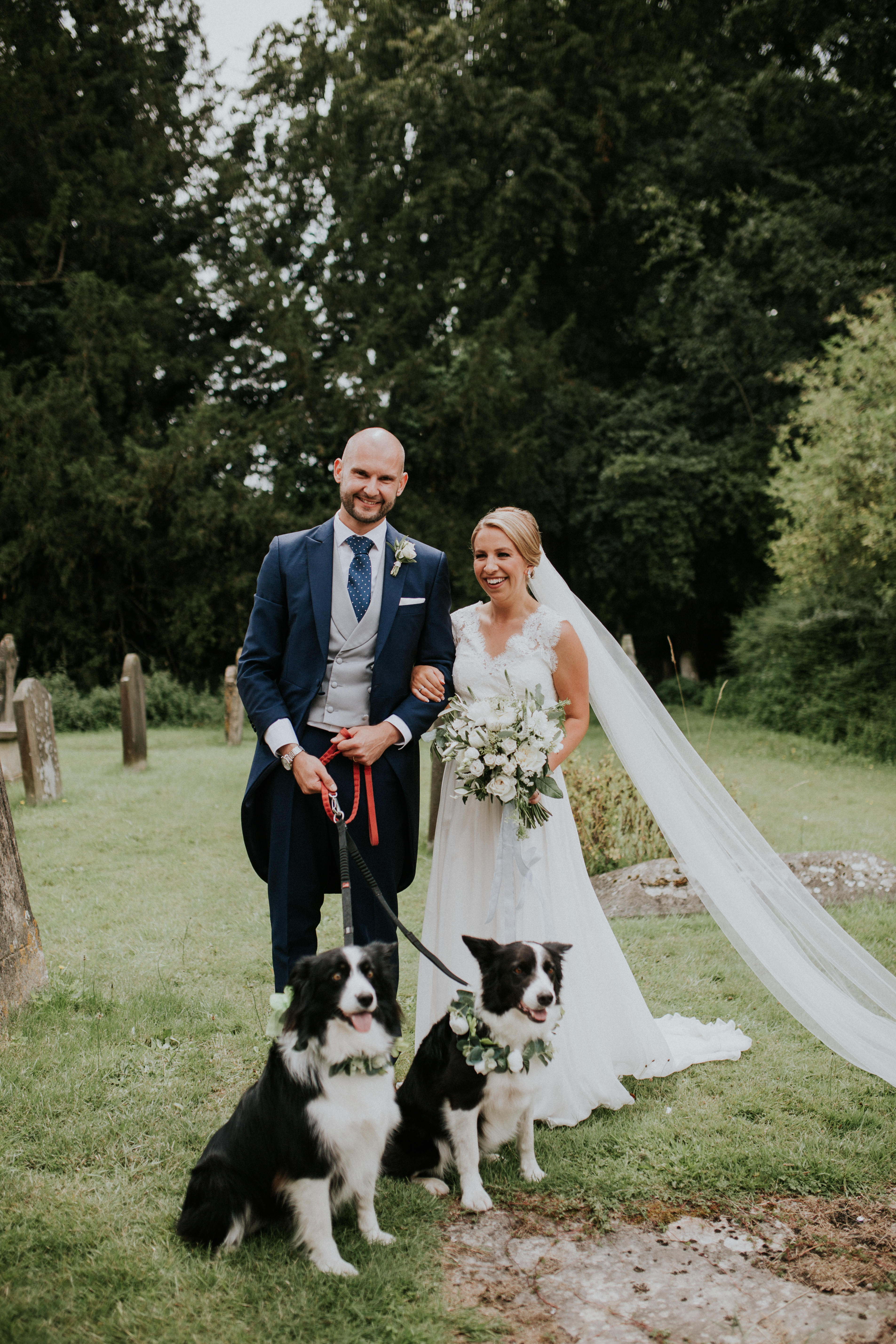 bride groom and dogs 