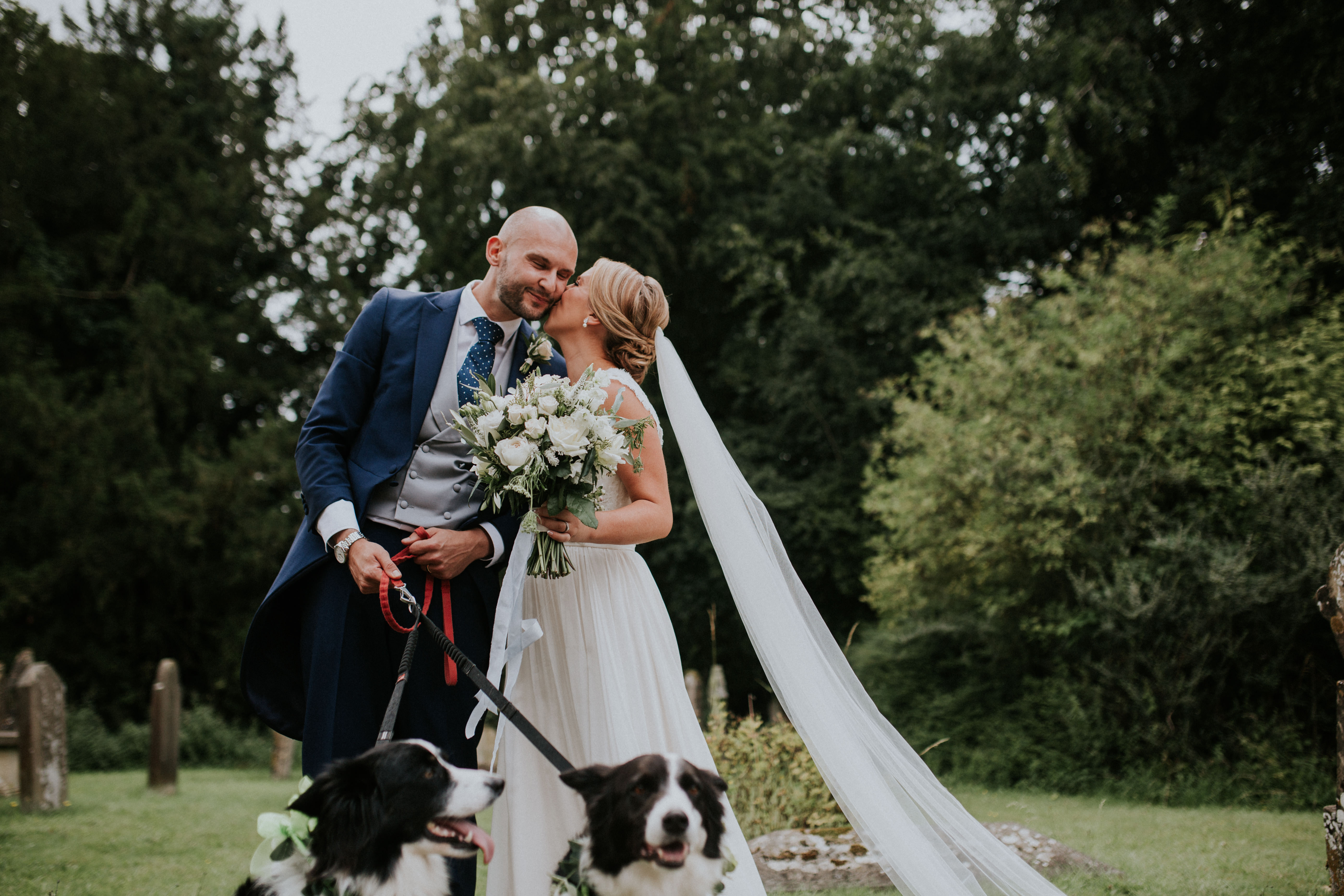 bride groom and dogs 