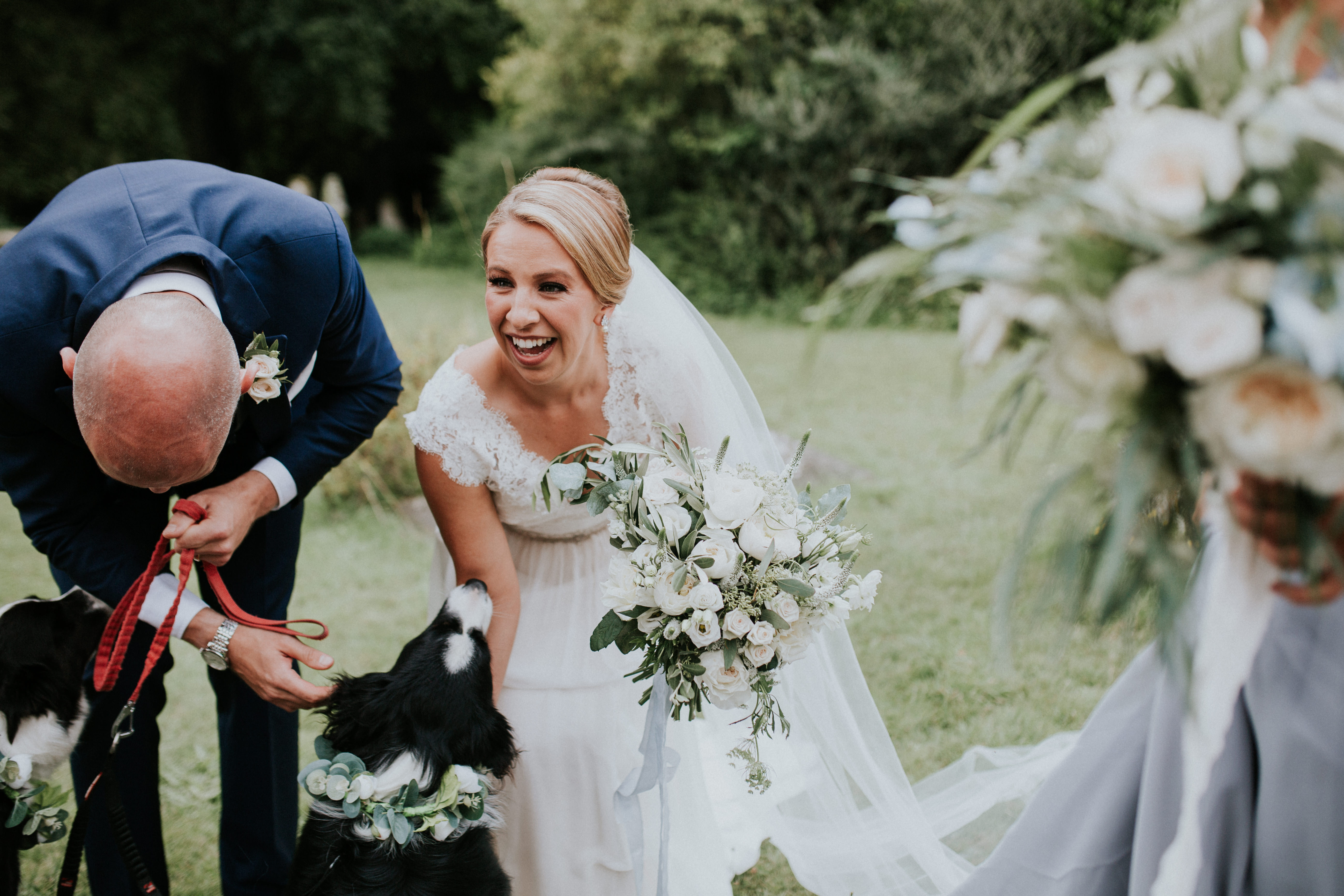 bride groom and dogs 