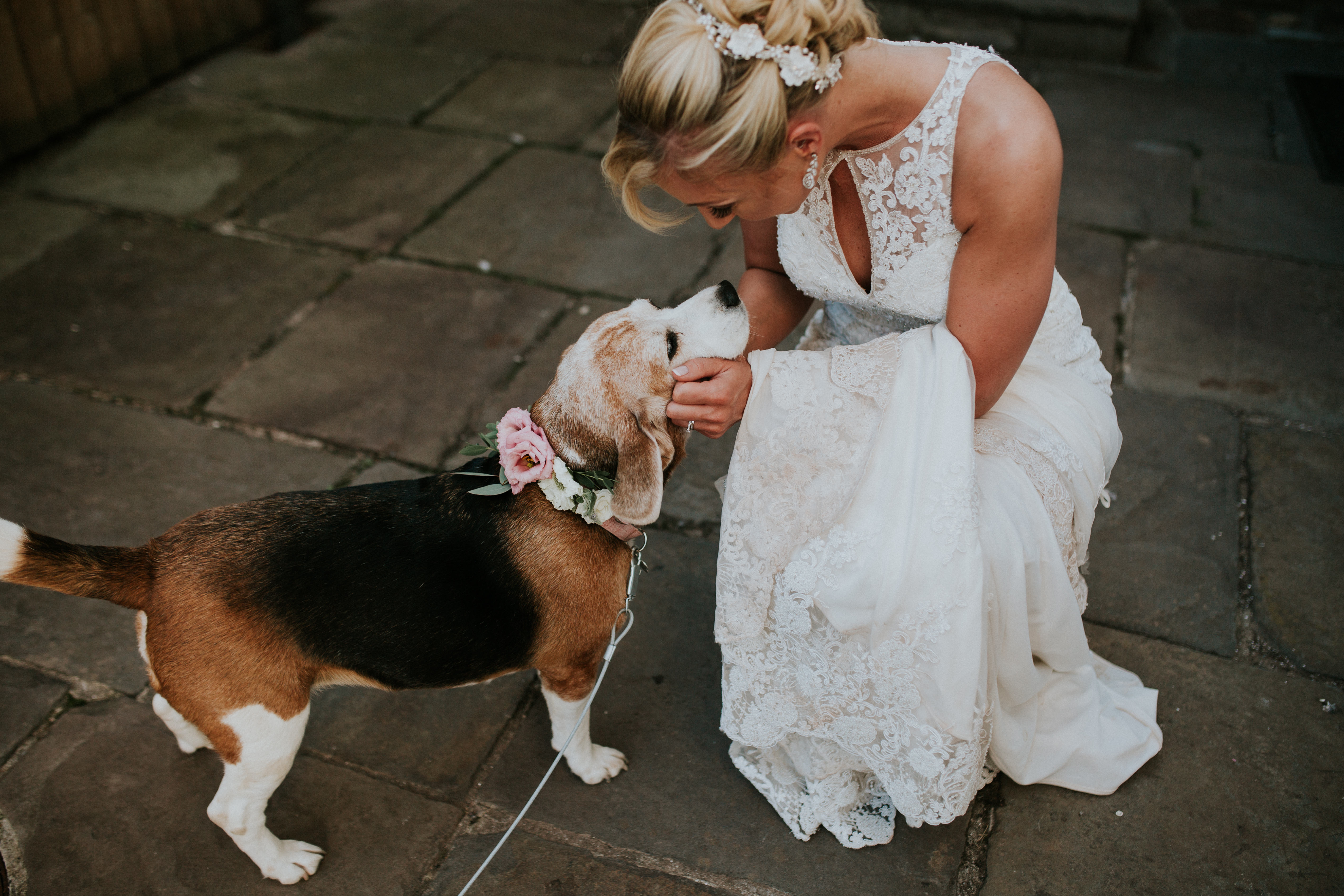 bride and dog 