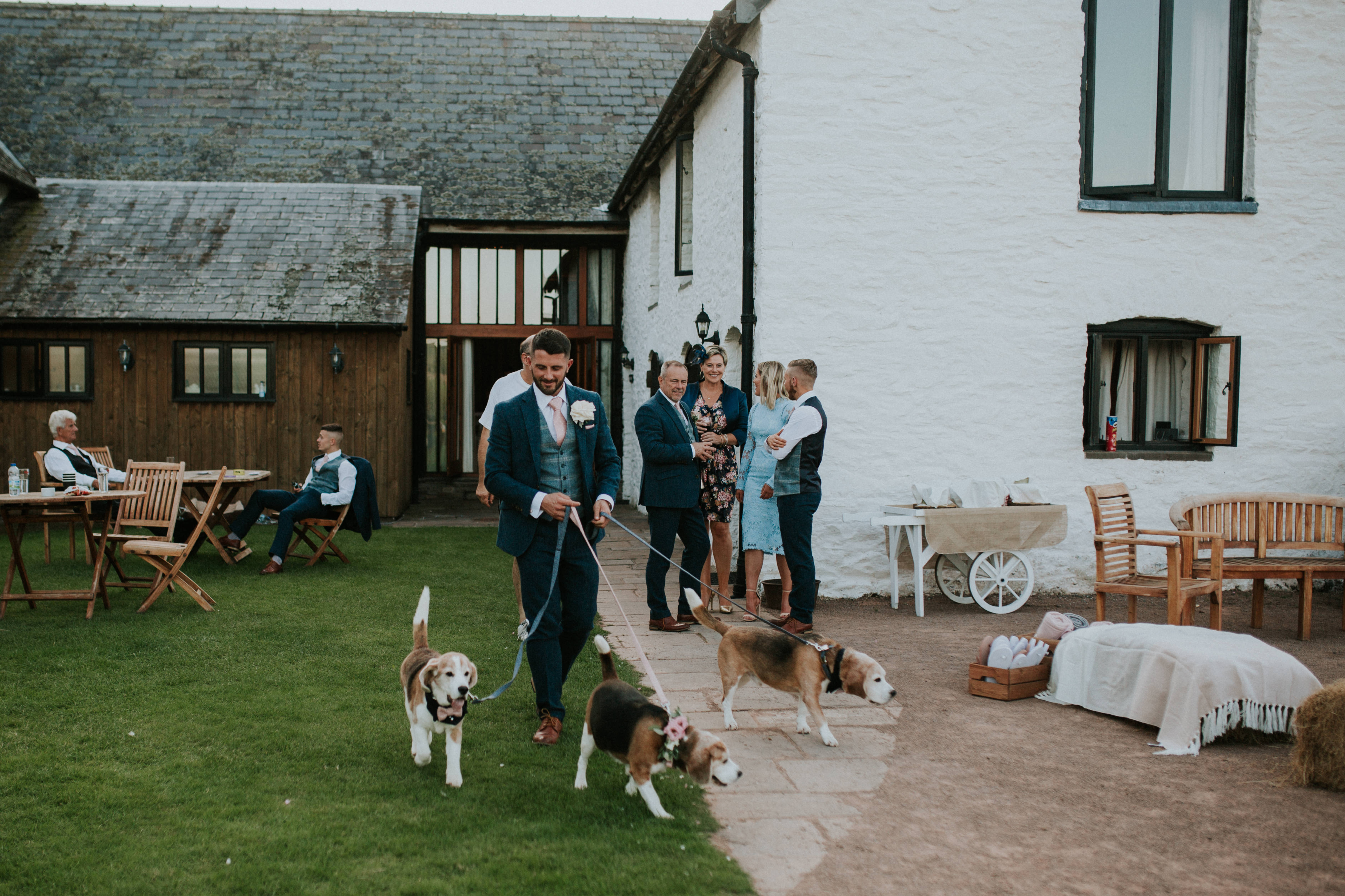 groom walking dogs 